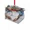 CC Christmas Decor Pack of 6 Blue and Green Crab on Wire Cage Decorative Hanging Ornaments 3"
